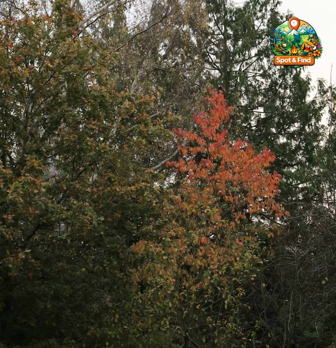 Bild für Saisonale Natur
