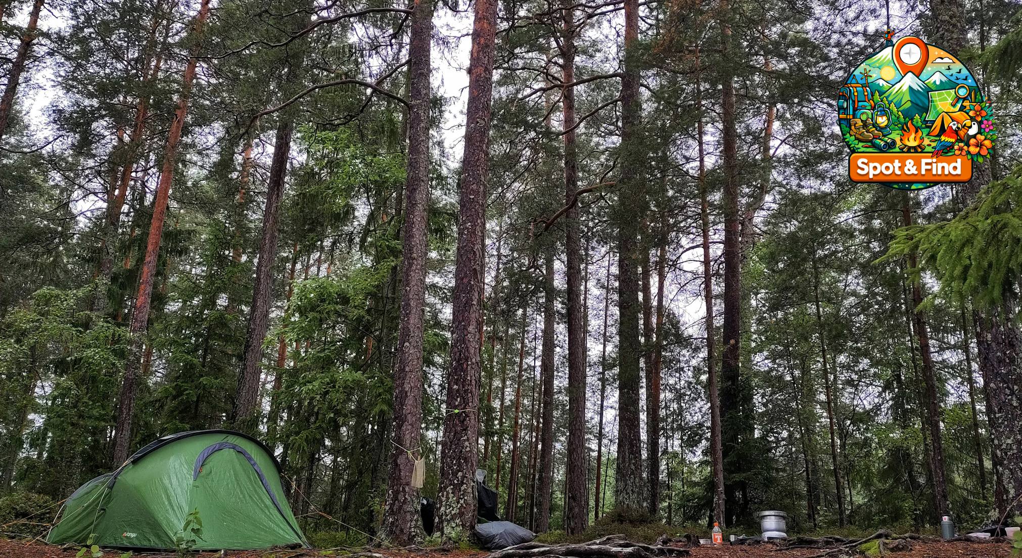 Afbeelding voor Wildcamperen & Bivak