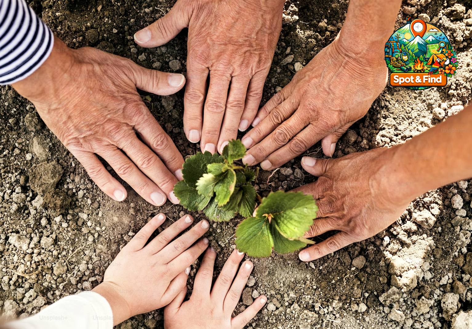 Afbeelding voor Duurzaamheid & Ecologie