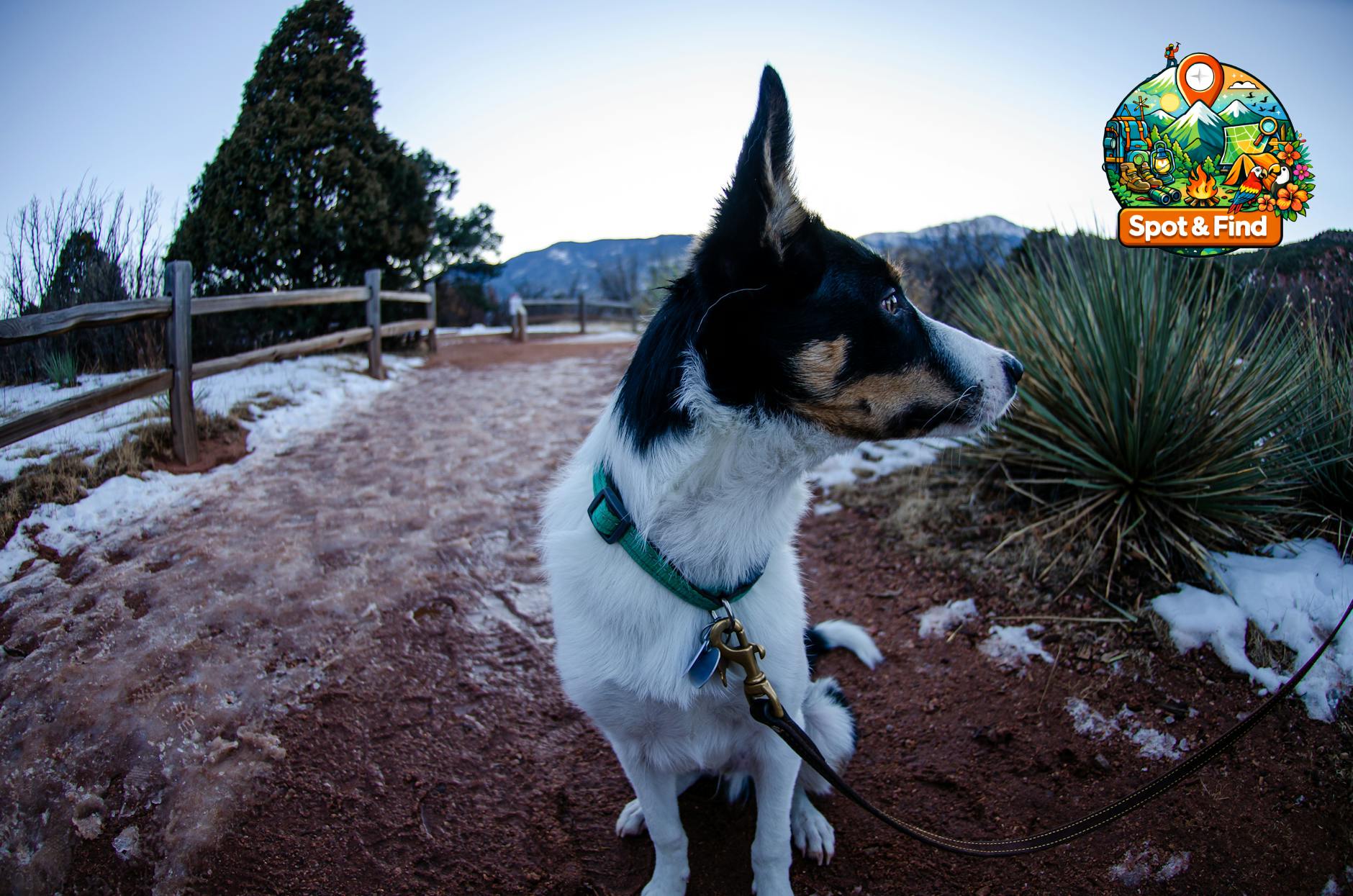 Bild für Dog-friendly trails