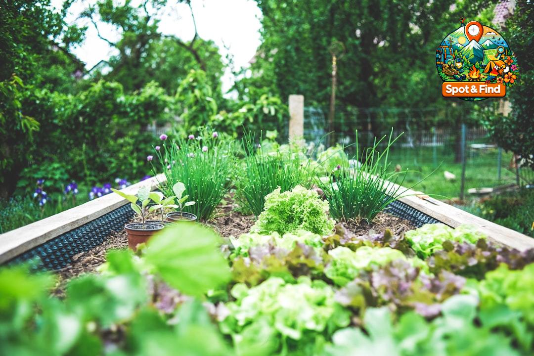 Afbeelding voor Kruiden- en plantentuinen