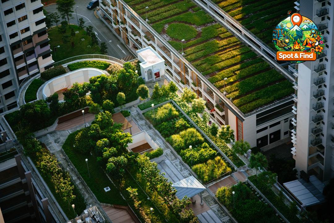 Afbeelding voor Stadslandbouw