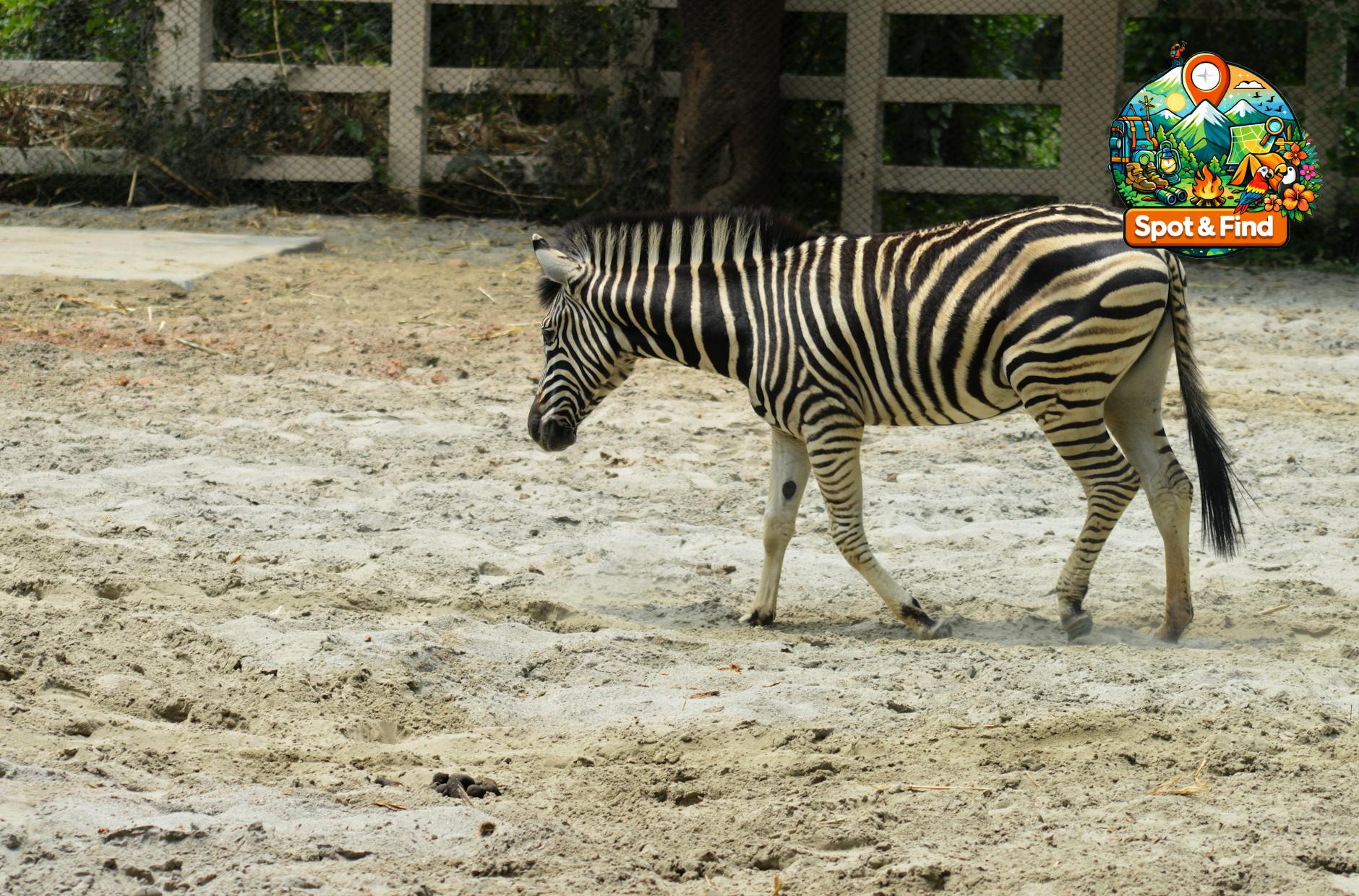 Bild für Wildparks & Wildtiere